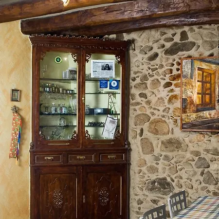 El Pati De L'albera